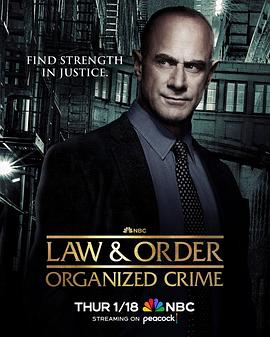 法律与秩序：组织犯罪第四季第07集