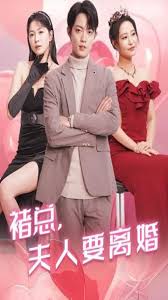 褚总夫人要离婚全集(大结局)