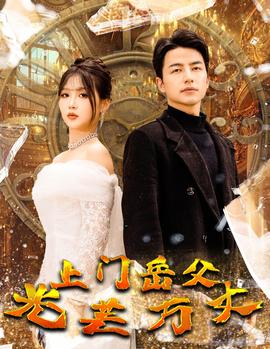 上门岳父光芒万丈全集(大结局)