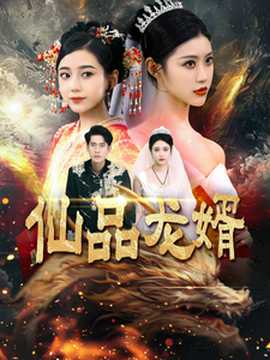 仙品龙婿全集(大结局)