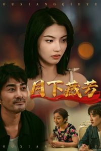 月下藏芳全集(大结局)