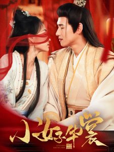 小女子华裳全集(大结局)