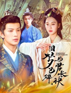 旧梦已碎，与君长诀＆终是深情错付君(全集)