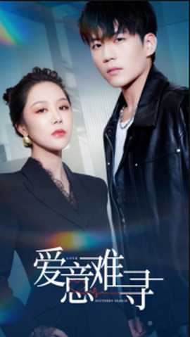 爱意难寻全集(大结局)