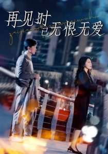 再见时已无恨无爱第1-20集