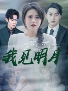 我见明月第21-40集