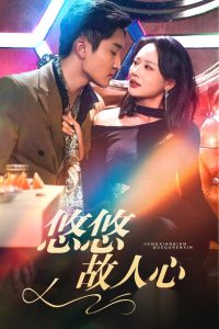 悠悠故人心第21-40集完结(大结局)