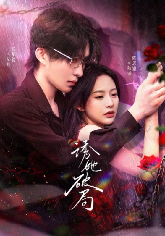 诱她破局第1-20集