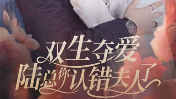 双生夺爱陆总你认错夫人了全集(大结局)