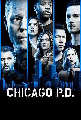 芝加哥警署第六季(全集)